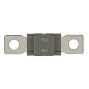 AMG® Fuse - 300 Amp - Image 1