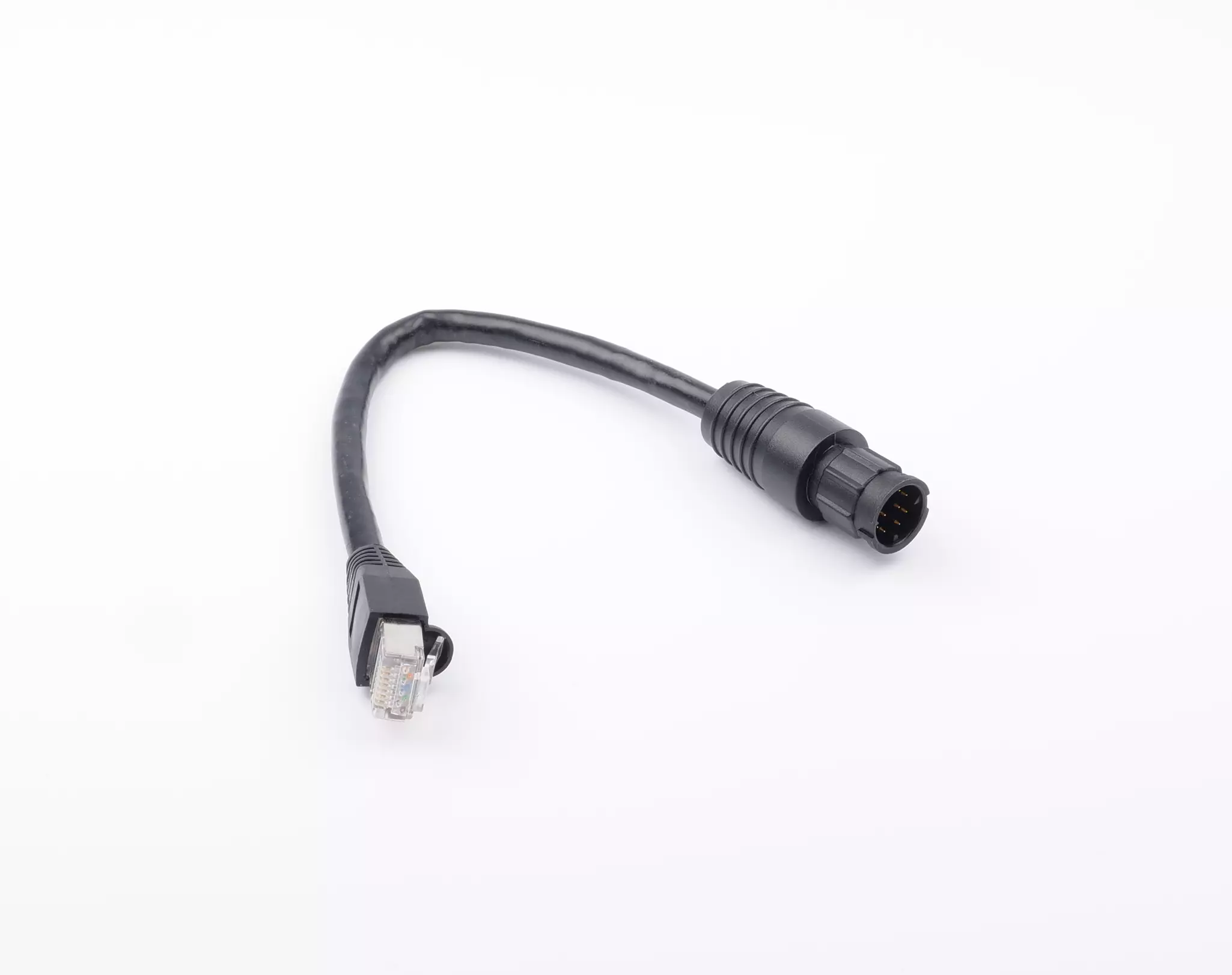 RayNet to RJ45 (Male) Adaptor Cable - Image 1