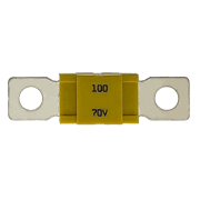 AMG® Fuse - 100 Amp - Image 1