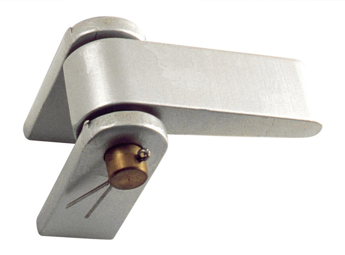 Steel hinge with brass pin and washers - Image 1