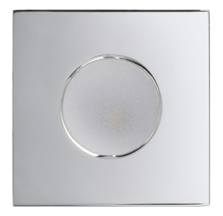 ERICA - Image 1